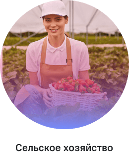 Сельское хозяйство
